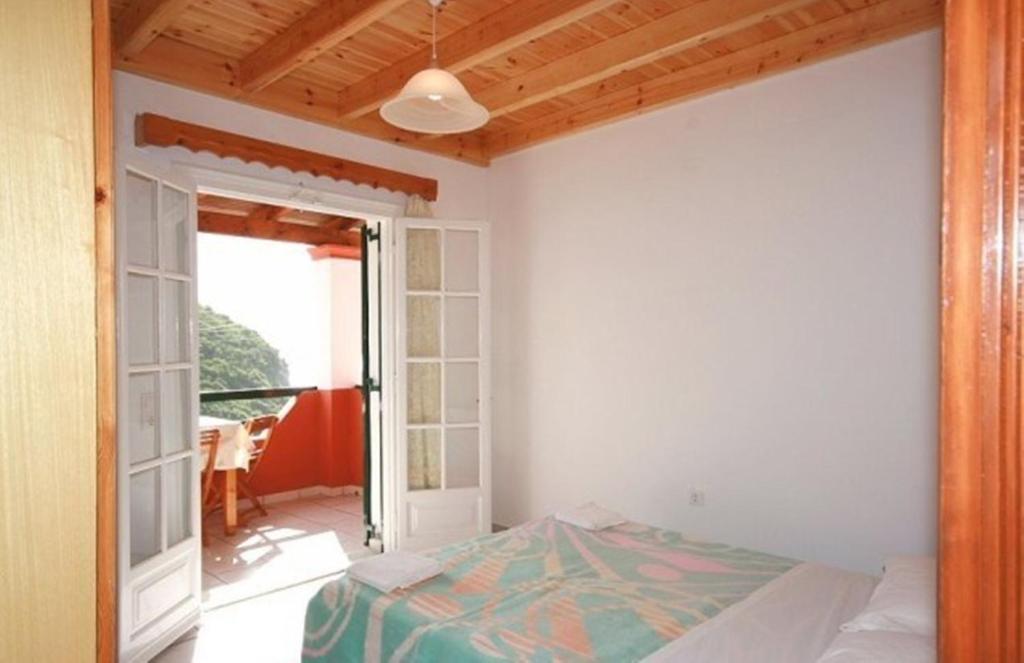 Apartament Paleopalace
